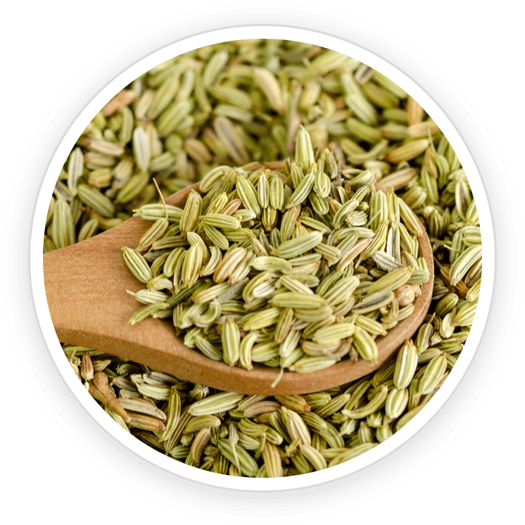 Fennel Seed Powder- Pawbiotix Ingredient
